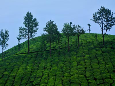 Best package tour for Mysore Ooty