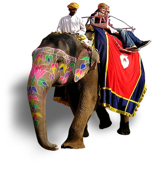 Rajasthan Elephant Ride