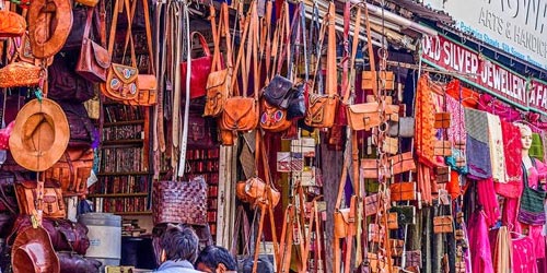 Srinagar tour and Local Market Shopping